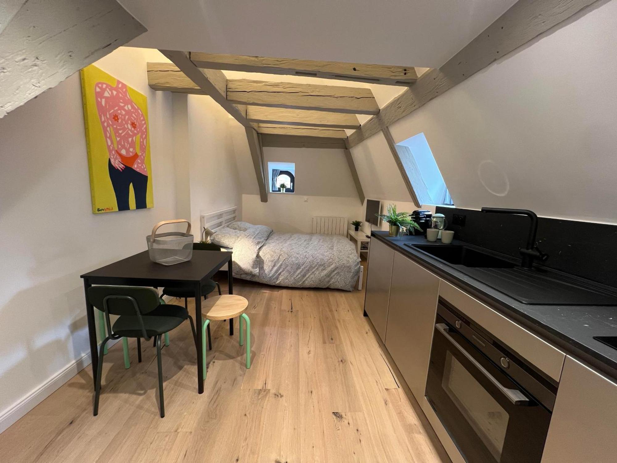 Apartamento Le Salzmann Estrasburgo Exterior foto