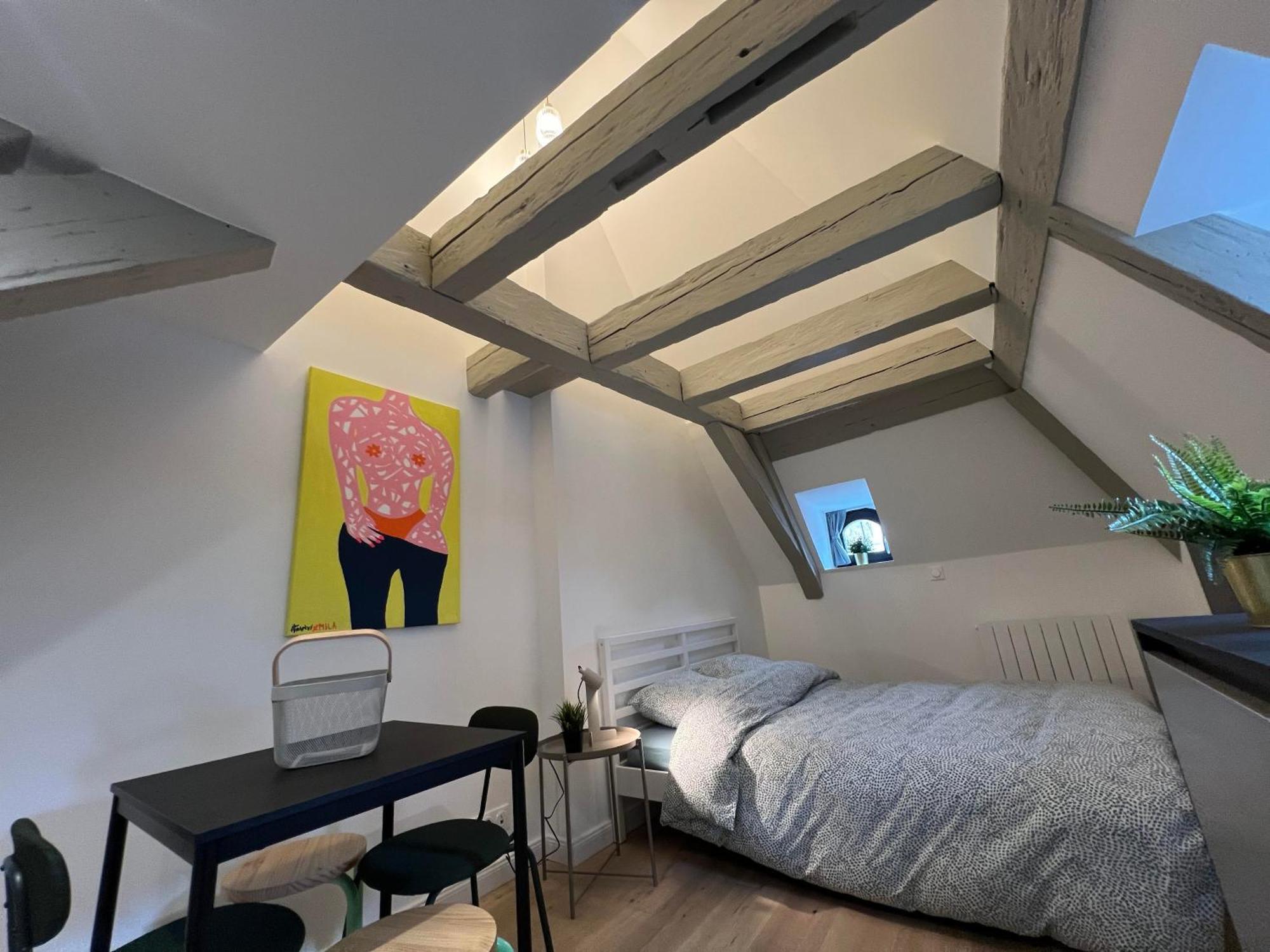 Apartamento Le Salzmann Estrasburgo Exterior foto